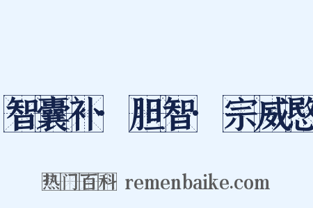 智囊补·胆智·宗威愍是什么意思的图片